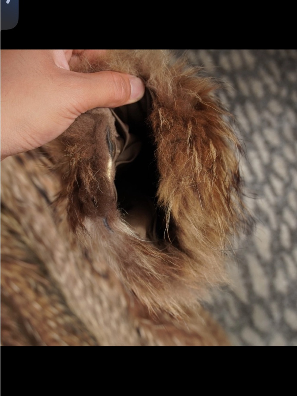 Vintage Japanese Raccoon Fur Coat Jacket Womens Size M Brown Striped Tanuki 80s - Picture 11 of 15